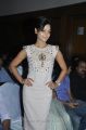 Tamil Actress Bindu Madhavi New Hot Stills