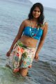 Bindu Madhavi Bikini Photos