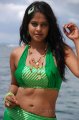 Bindu Madhavi Hot Bikini Pics