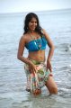 Bindu Madhavi Bikini Photos