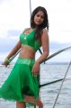 Bindu Madhavi Hot Bikini Pics