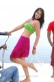 Bindu Madhavi Hot Spicy Stills