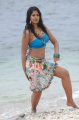 Bindu Madhavi Hot Bikini Pics