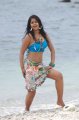 Bindu Madhavi Spicy Photos