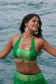 Bindu Madhavi Hot Bikini Pics