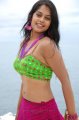 Bindu Madhavi Hot Bikini Pics