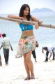 Bindu Madhavi Spicy Stills