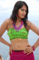 Bindu Madhavi Hot Bikini Pics