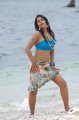 Bindu Madhavi Spicy Photos