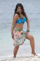 Bindu Madhavi Bikini Photos