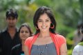 Bindu Madhavi Latest Cute Stills