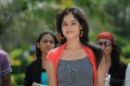 Bindu Madhavi Latest Cute Stills