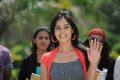 Bindu Madhavi Latest Cute Stills