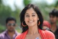 Bindu Madhavi Latest Cute Stills