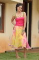 Bindu Madhavi Cute Stills