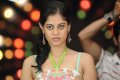 Bindu Madhavi Cute Stills