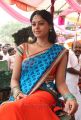 Tamil Actress Bindu Madhavi Saree Photos in Desingu Raja