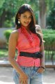 Bindu Madhavi Latest Hot Pics