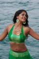 Bindu Madhavi Hot in Sega