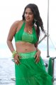 Bindu Madhavi Hot in Sega