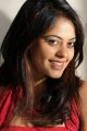 Bindu Madhavi latest Hot Photos