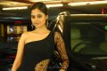 Bindu Madhavi Hot Pics