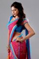 Actress Bindu Madhavi Stills in Ballala Deva Movie