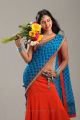 Actress Bindu Madhavi Stills in Ballala Deva Movie