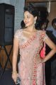 Actress Bindu Madhavi in Pink Net Saree Stills