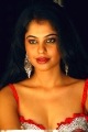 Bindu Madhavi Hot Stills Photos Gallery