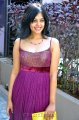 Bindu Madhavi Hot Stills