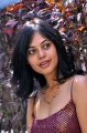 Bindu Madhavi Hot Stills