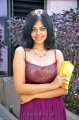 Bindu Madhavi Hot Stills