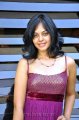 Bindu Madhavi Hot Stills