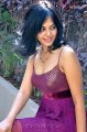 Bindu Madhavi Hot Stills