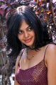 Bindu Madhavi Hot Stills