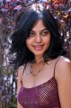 Bindu Madhavi Hot Stills