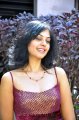 Bindu Madhavi Hot Stills