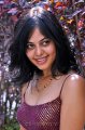 Bindu Madhavi Hot Stills