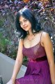 Bindu Madhavi Hot Stills