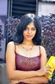 Bindu Madhavi Hot Stills