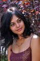 Bindu Madhavi Hot Stills