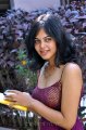 Bindu Madhavi Hot Stills