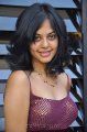 Bindu Madhavi Hot Stills