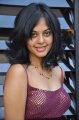 Bindu Madhavi Latest Photo Gallery