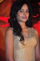 Bindu Madhavi Hot Pics