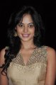 Bindu Madhavi Hot Pics