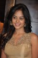 Bindu Madhavi Hot Pics