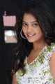 Bindu Madhavi Cute Smile Stills