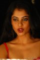 Bindu Madhavi Hot Stills